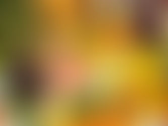 استيراد الفواكة من مصر, استيراد فواكة من مصر, استيراد الخضراوات من مصر, استيراد الفراولة من مصر, استيراد كمثري من مصر, استيراد برتقال من مصر, شحن, استيراد التفاح من مصر مانجو مصرية, استيراد الخضار, استيراد الخضار من مصر, استيراد المانجو من مصر, استيراد المانجو المصرية