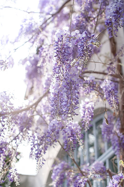 Image by Elena Kloppenburg