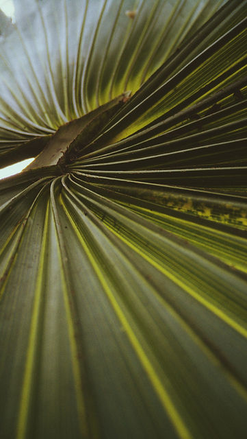 Image by Landon Parenteau