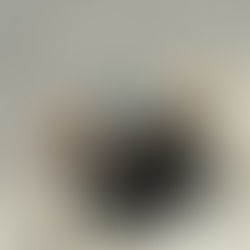 Seasonal Pest Problems in Buda TX