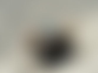 Seasonal Pest Problems in Buda TX