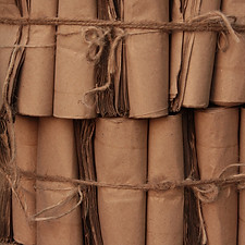 Image by Ananya Mittal