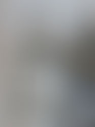 Суд признал право рыбаков судиться с цементным гигантом