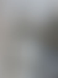 legislative update Indiana Council For Animal Welfare