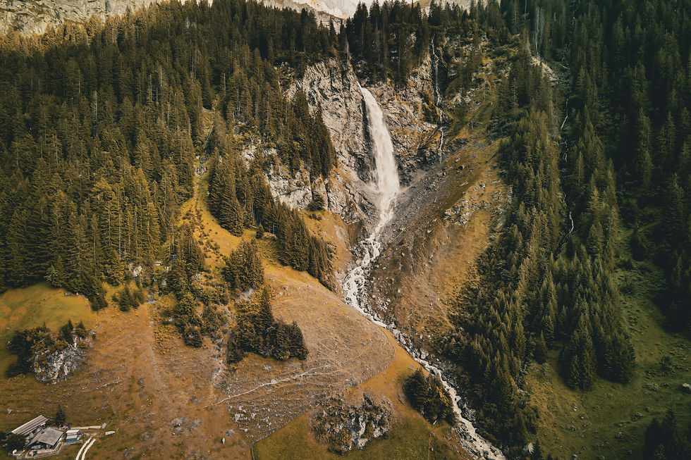 Image by Max Bürgi