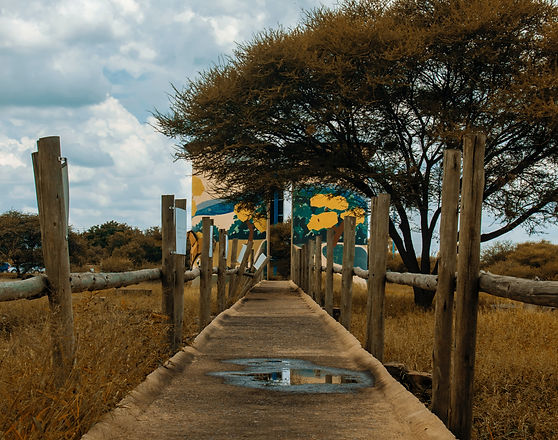 Southern Africa Travel Packages
