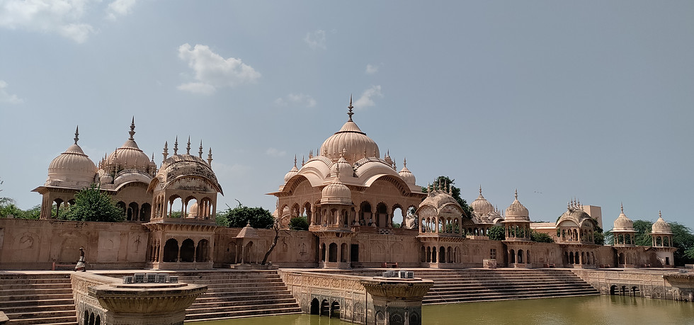 Image by Naveen Kashyap