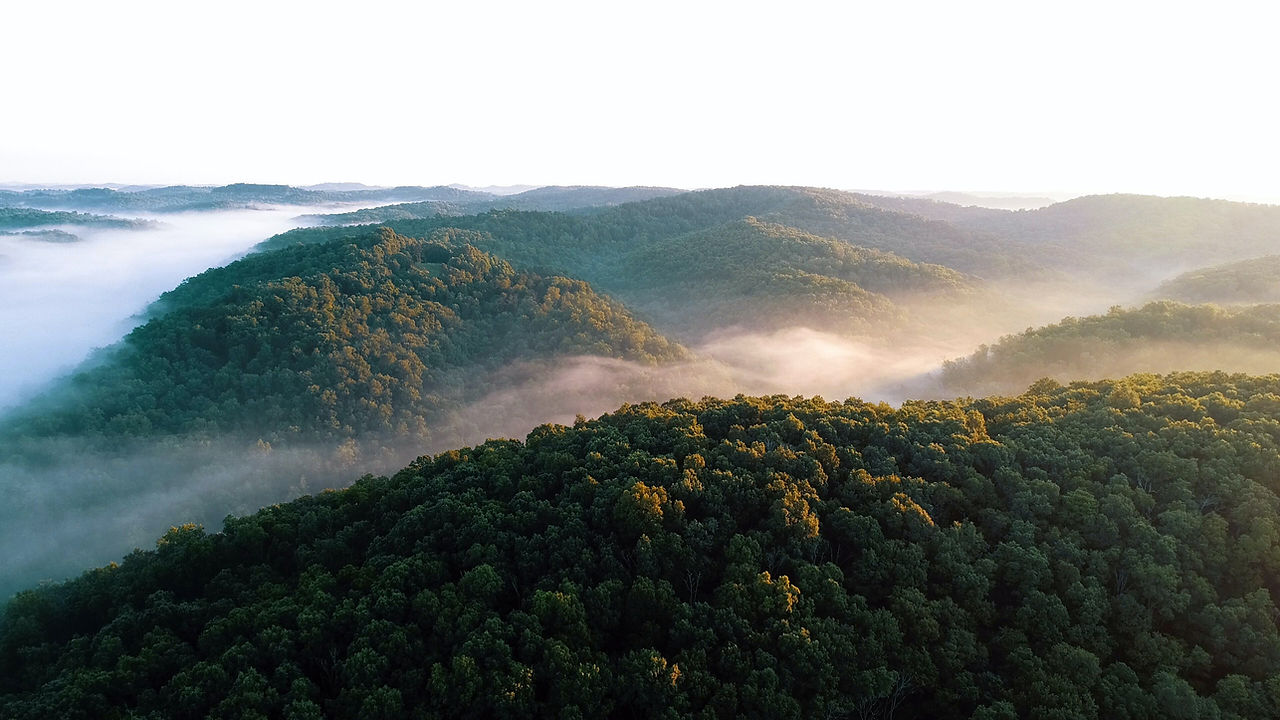 Image by John Modaff