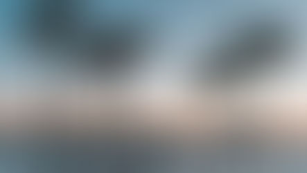 FL Senate Passes Insurer Accountability Package to Protect Consumers and Strengthen Insurance Market