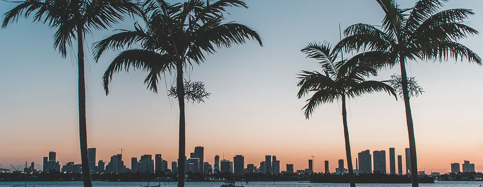 Palm Trees