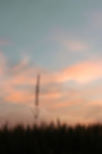 The silhouette of a single piece of wheat in the foreground, a beautiful pastel sunset over a field in the background.