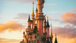 The 2026 Guide to the College of Disney Knowledge