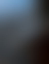 Geração Z e a recessão sexual