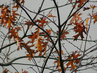 Winter 2025: Editor's Note