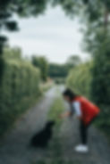 Image by Kyle Mackie