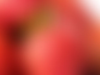 La fraise, un petit fruit au grand pouvoir