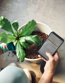 Image by Microsoft Copilot