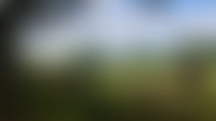 How Many Cows Can I Keep Per Acre?