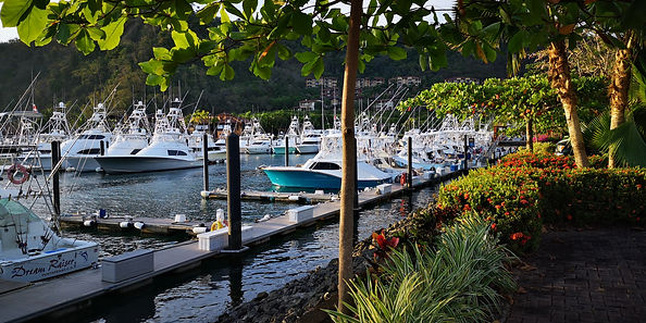 Image by Chalo Garcia