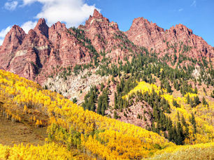 Leaf Me Here, I'm Home: Colorado Lodging