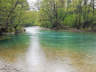 LIVING IN DIVINE FLOW