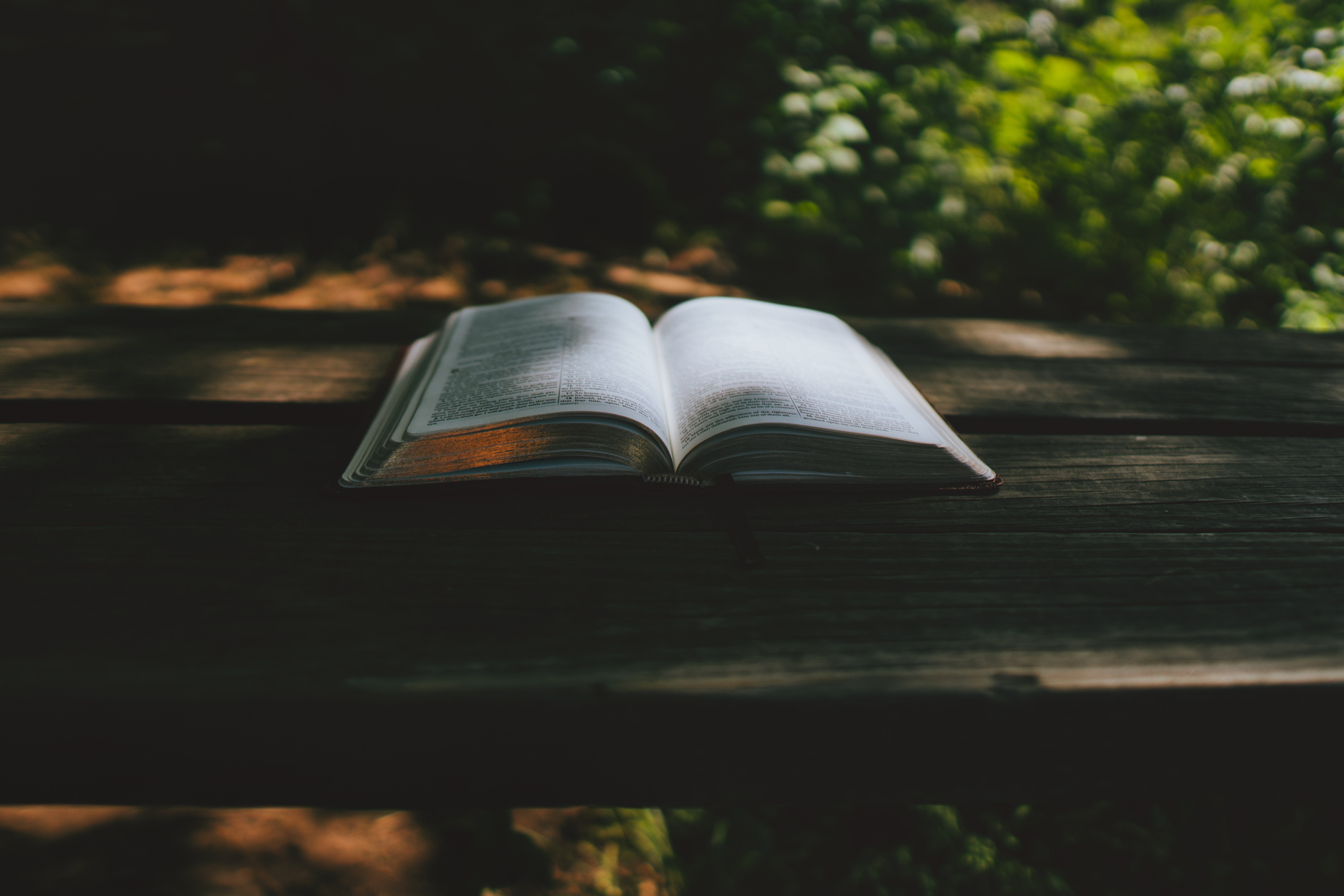 Personal Numerology Archives