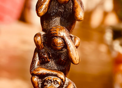 Image by Vivek K Kaushik