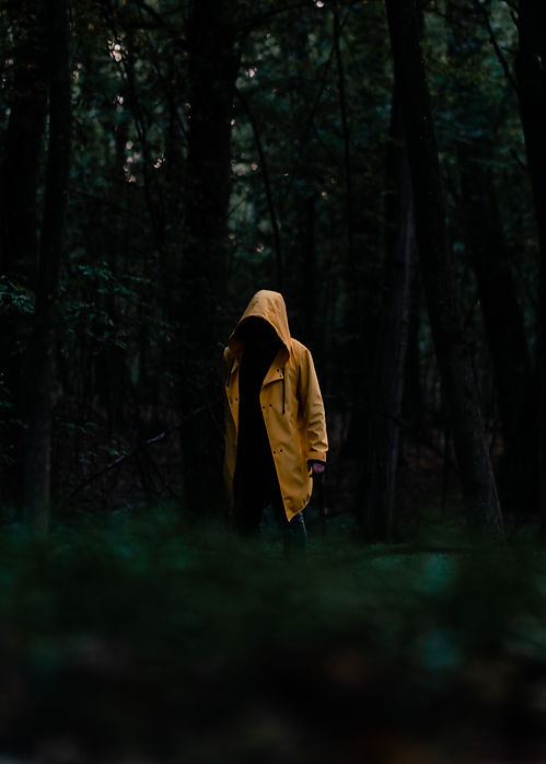Image by Eugene Chystiakov