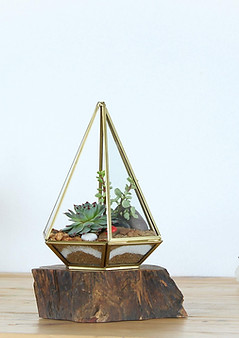 Image by Art and Soil Bangalore