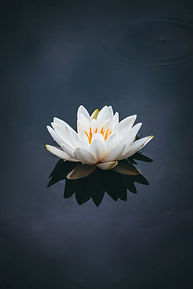 Image by Nong V