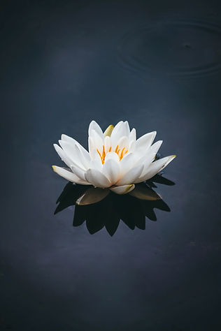 Image by Nong V