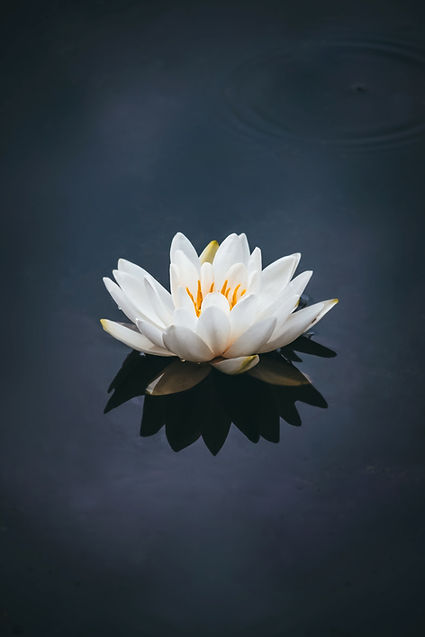Image by Nong