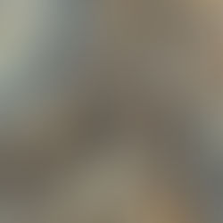 Les attaques de termites sur les arbres à Nouméa