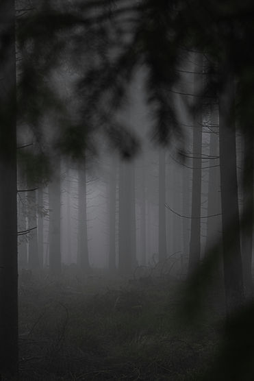 Image by Florian Rebmann