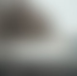 Driving in Adverse Conditions: A New Driver's Guide to Rain, Snow, and Fog