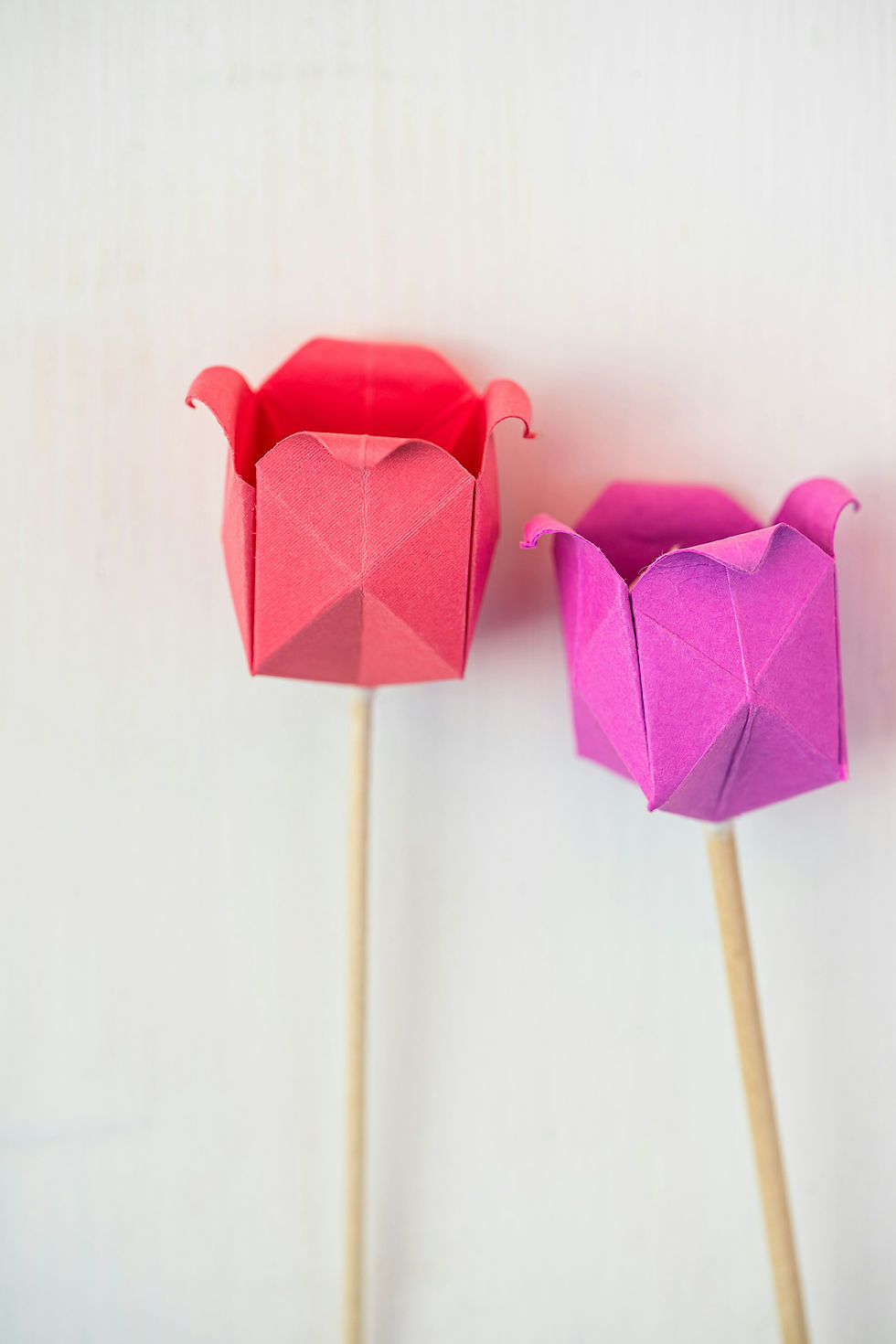 Algebraic Symmetry and Lessons from Origami