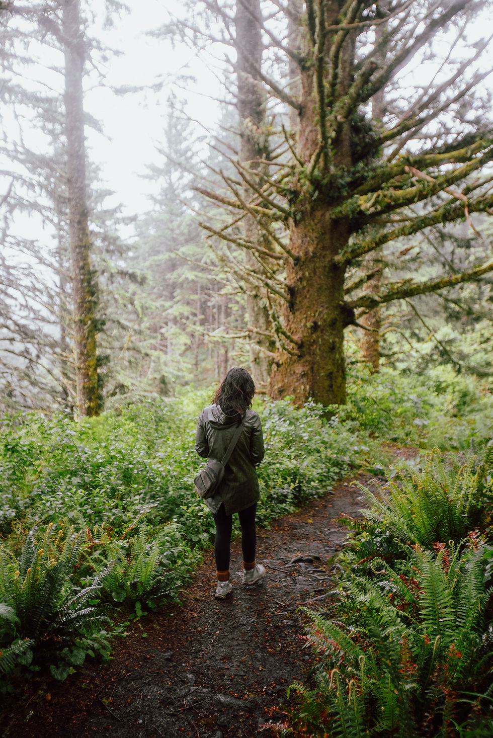 Photo: Josh Hild / Unsplash