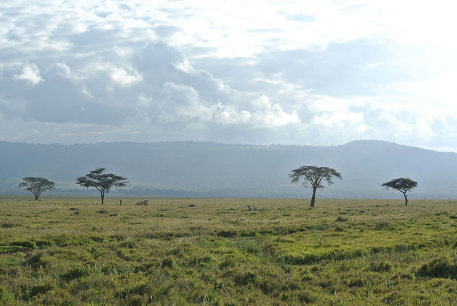 Image by Women Travel Abroad