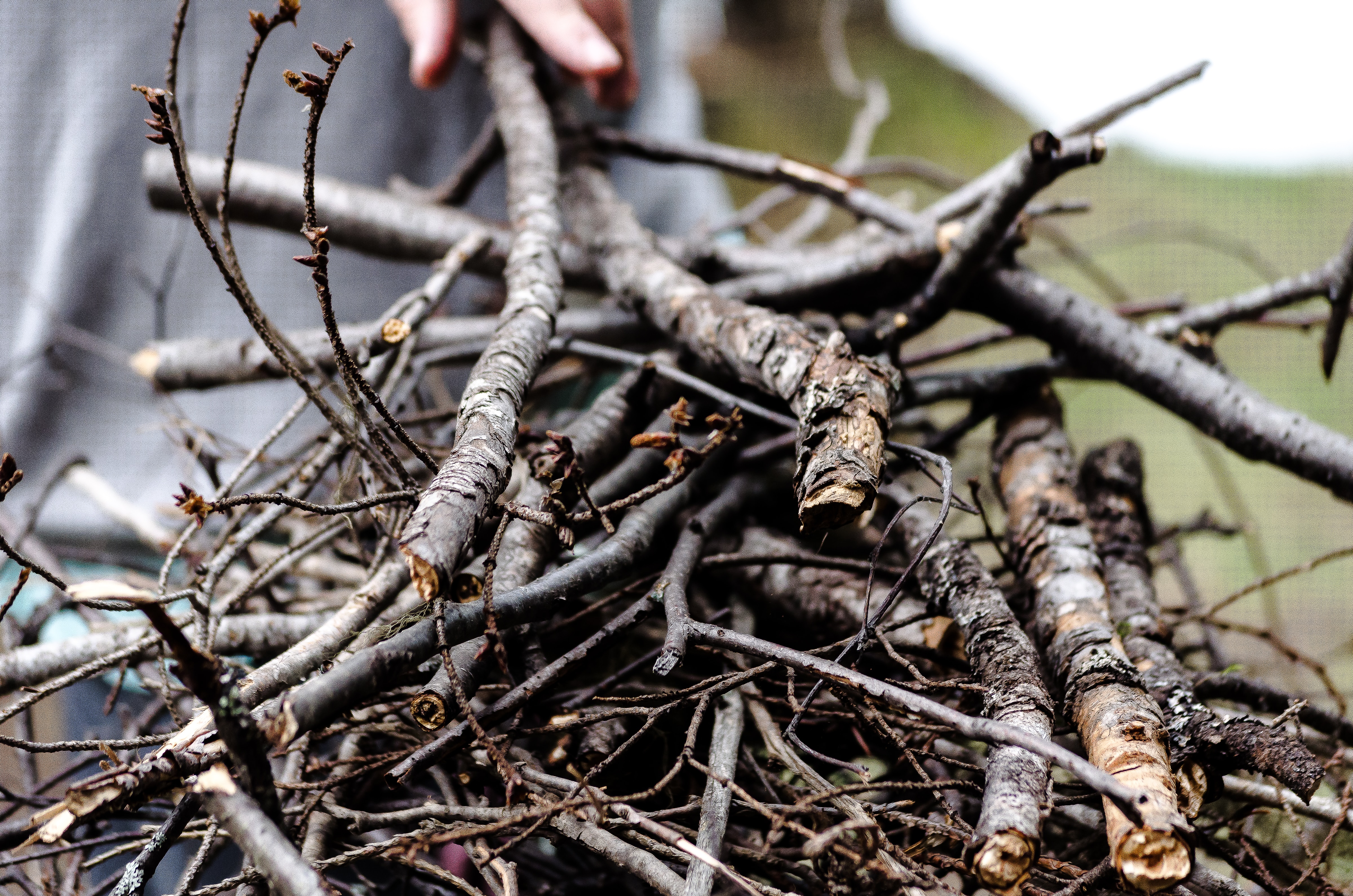 Photograph of a pile of sticks and branches with a white person's hand just visible adding a stick.