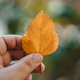 Image by kabita Darlami