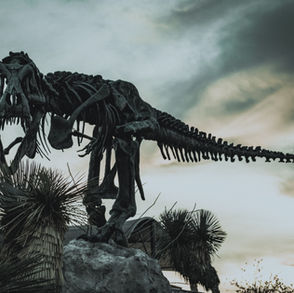 COP28 Agreement Signals “Beginning of the End” of the Fossil Fuel Era