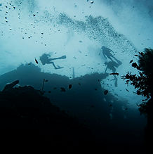 Marine Quests Divers Exploring a Wreck to Understand Them
