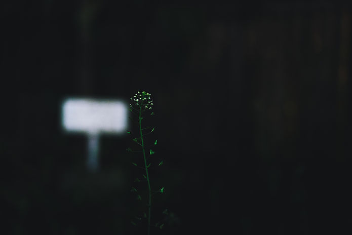 Image by Masaaki Komori
