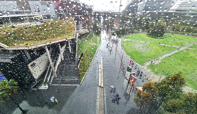 Image by Sam Bhattacharyya