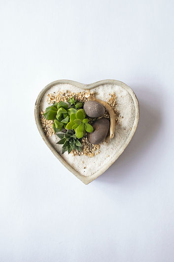 Image by Art and Soil Bangalore