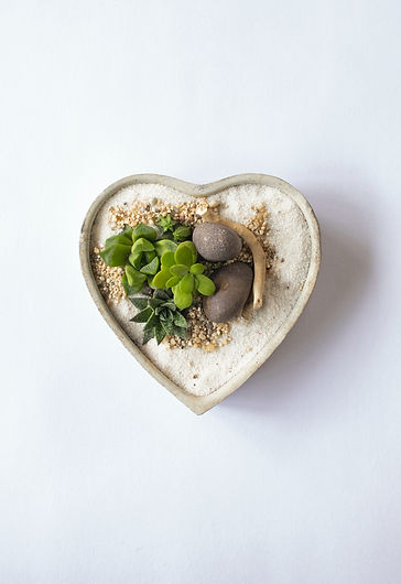 Image by Art and Soil Bangalore