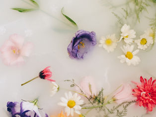 Apa itu milky perfume dan lactonic notes? Pelajari kenapa aroma creamy, rice milk, coconut milk, dan soft gourmand semakin populer dalam perfumery.
