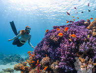 Reef Check turns volunteer dives into evidence on reef health