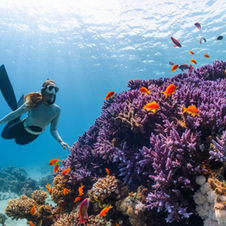 Southern Belize yacht vacations