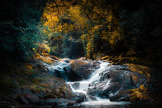 Image by Mateus Guimarães